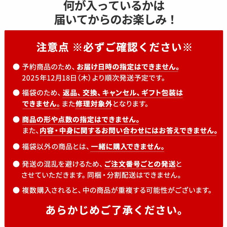 福袋【ネクタイ生地】